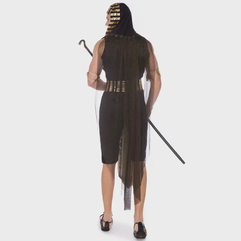 Elegant Halloween costumes(5)